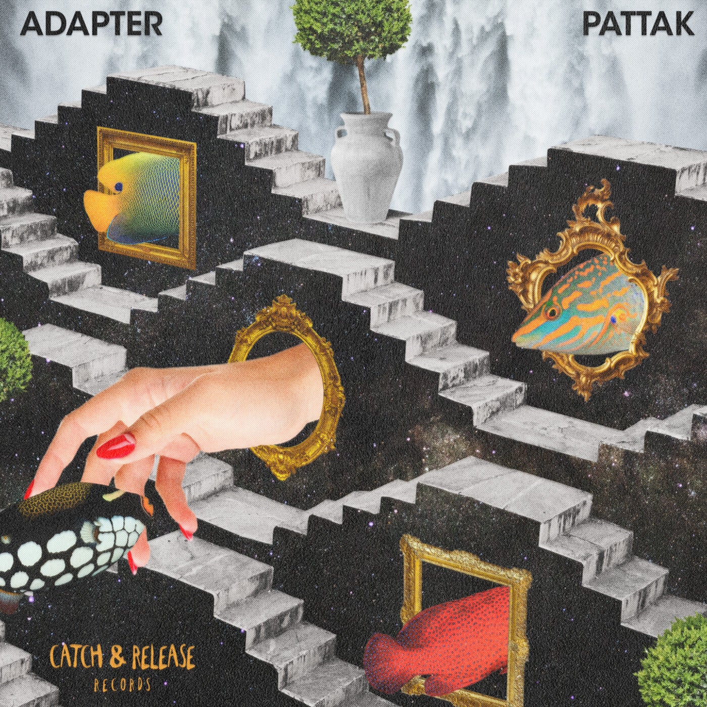 image cover: Adapter - Pattak / CR011B