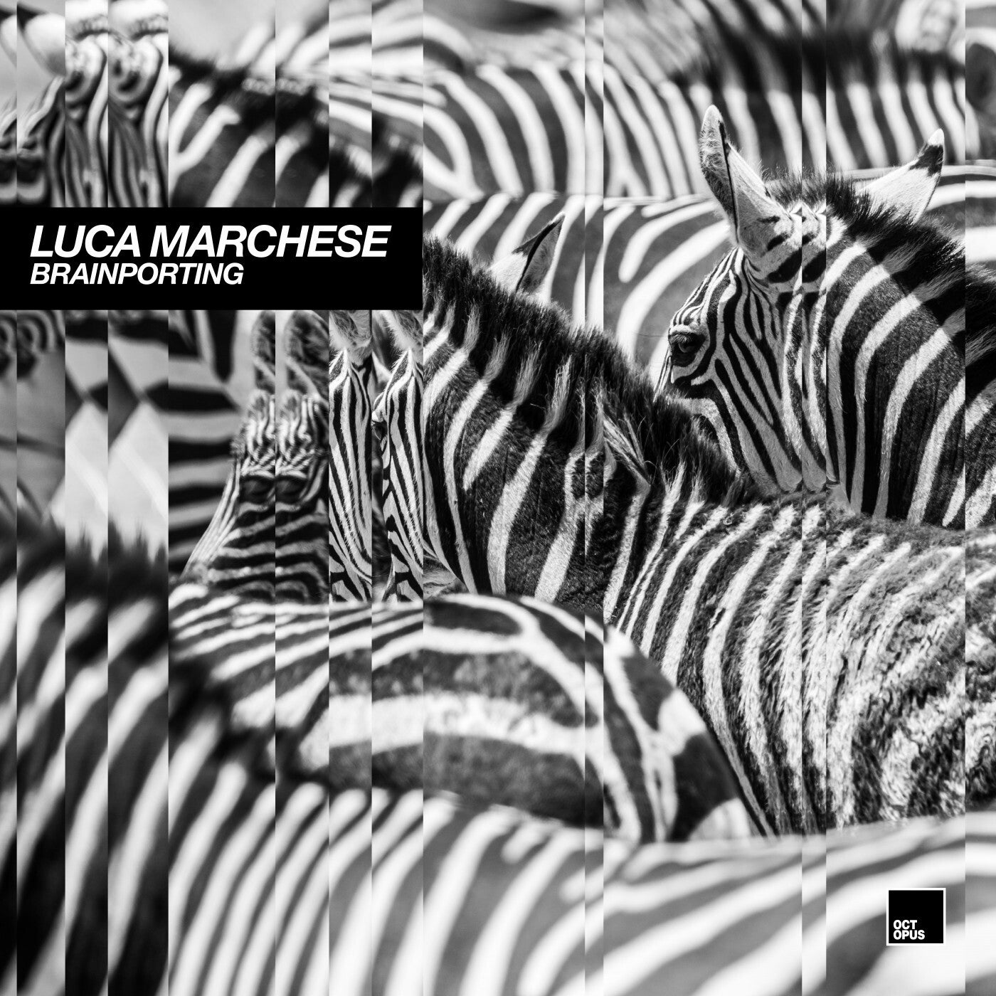 Download Luca Marchese - Brainporting on Electrobuzz
