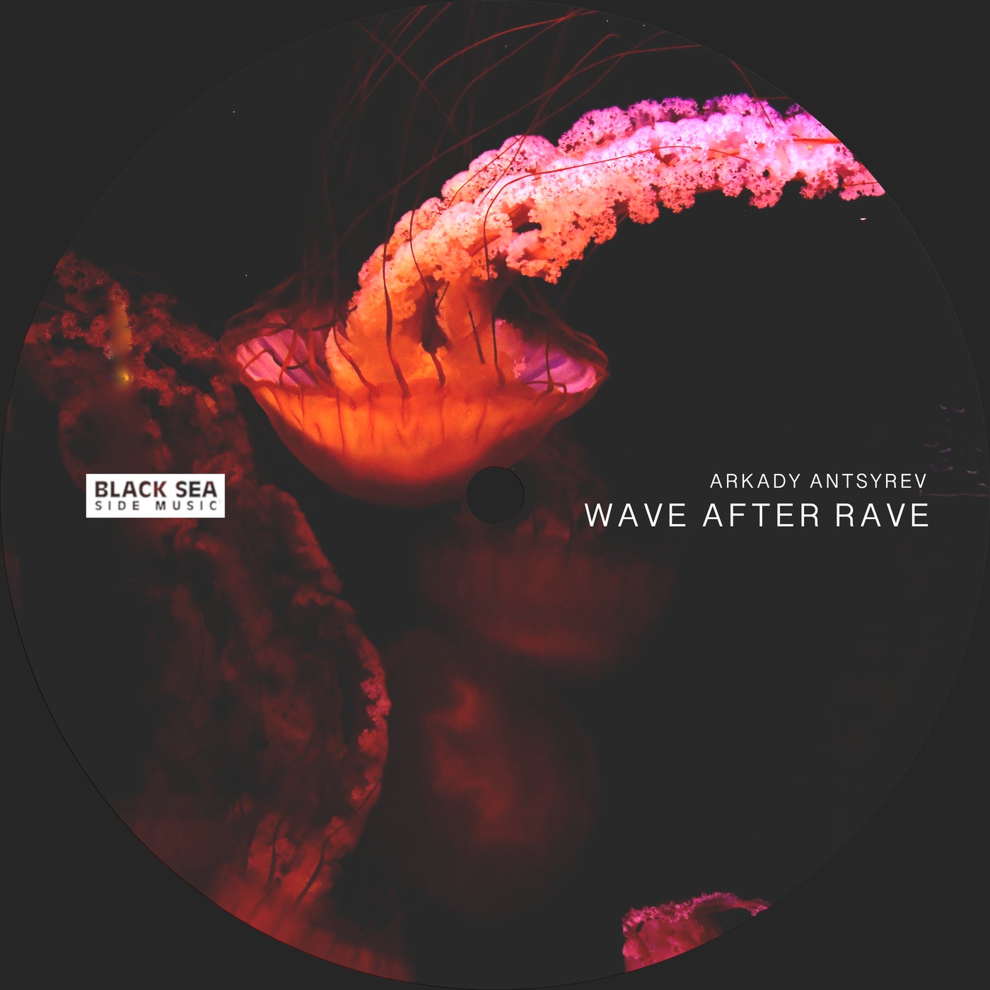 image cover: Arkady Antsyrev - Wave After Rave / BSSM0060