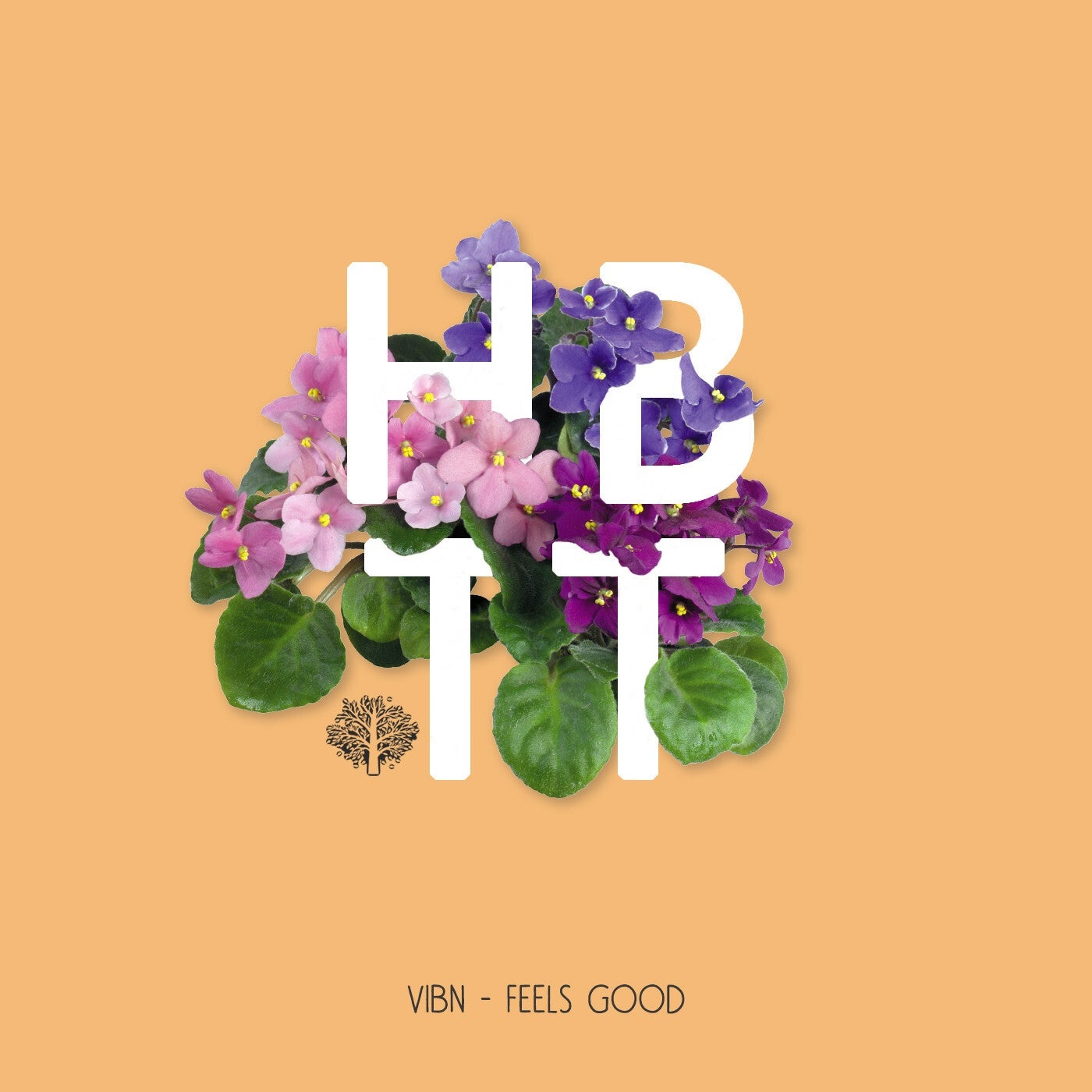 image cover: Vibn - Feels Good / HBT364