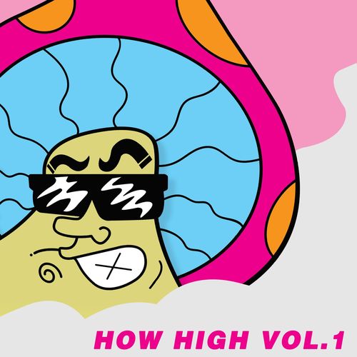 image cover: Various Artists - How High Vol.1 / Robsoul Essential