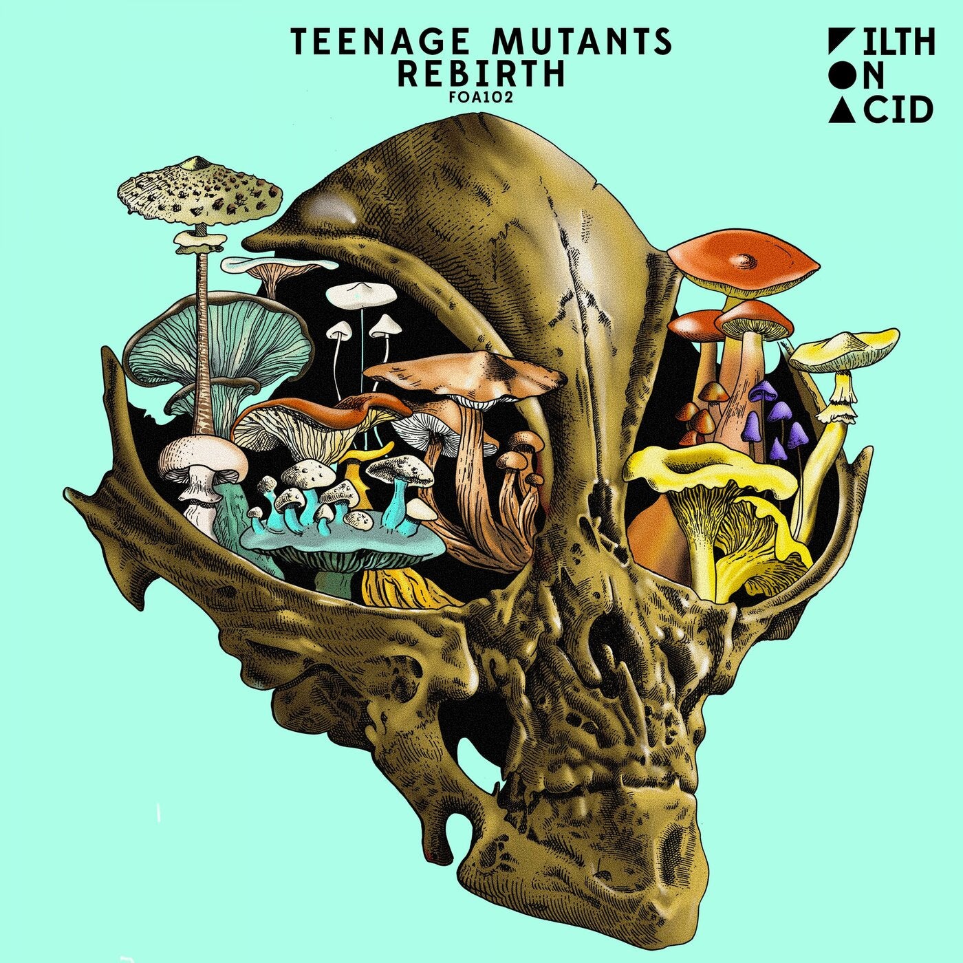 image cover: Teenage Mutants, Heerhorst - Rebirth / FOA102