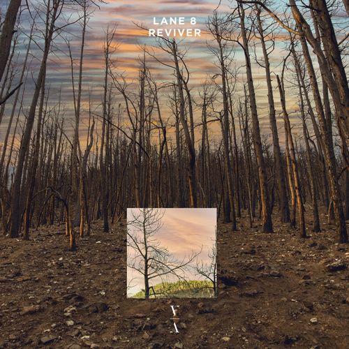 image cover: Lane 8 - Reviver / This Never Happened