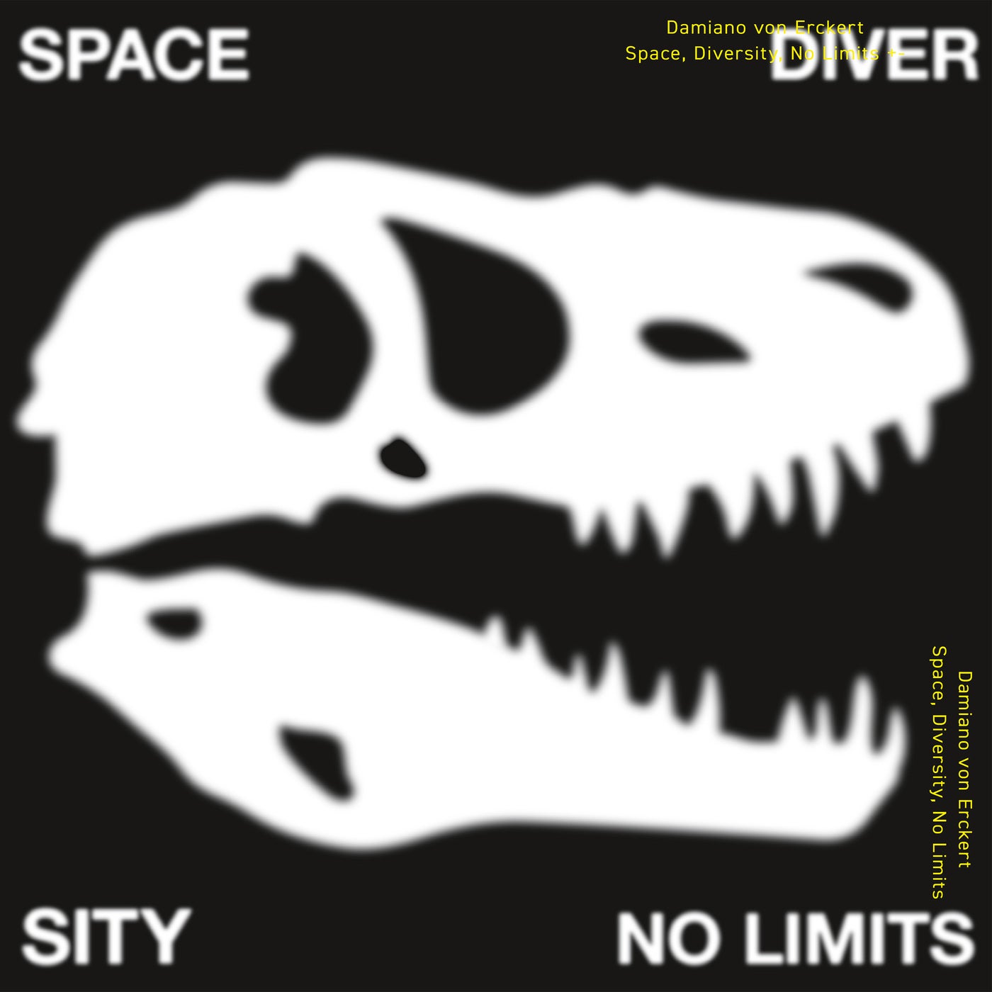 image cover: Damiano von Erckert - Space, Diversity, No Limits / PLAYRJC072D
