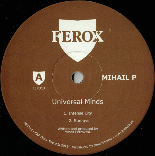 image cover: Mihail P - Universal Minds / FER313
