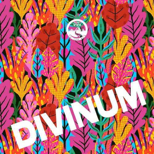 image cover: Various Artists - Divinum