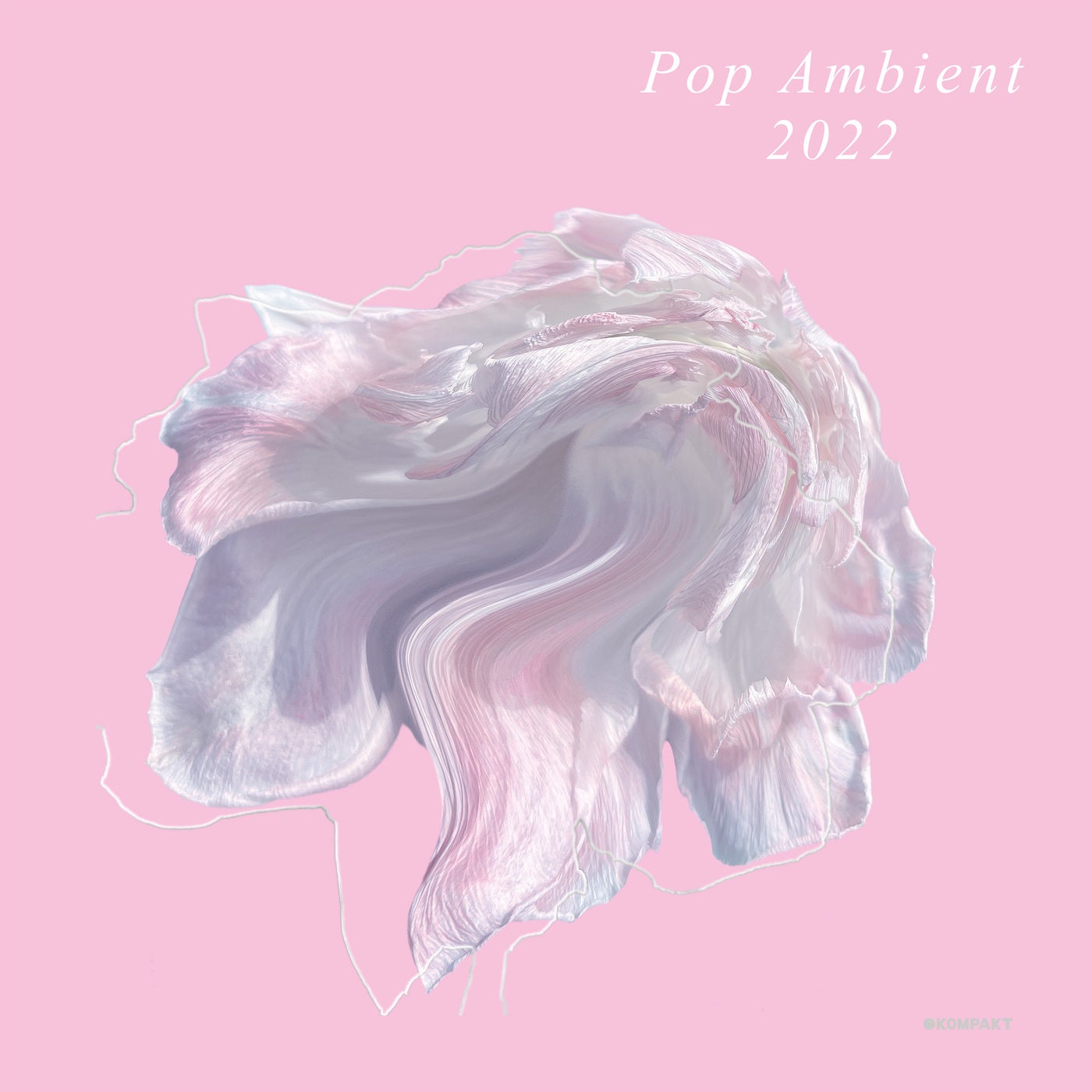 Download Pop Ambient 2022 on Electrobuzz