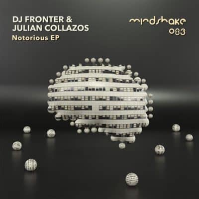 11 2021 346 091143922 DJ Fronter, Julian Collazos - Notorious / MINDSHAKE083