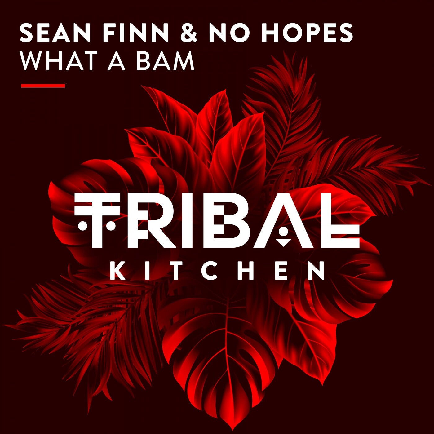 image cover: Sean Finn, No Hopes - What a Bam / TK127