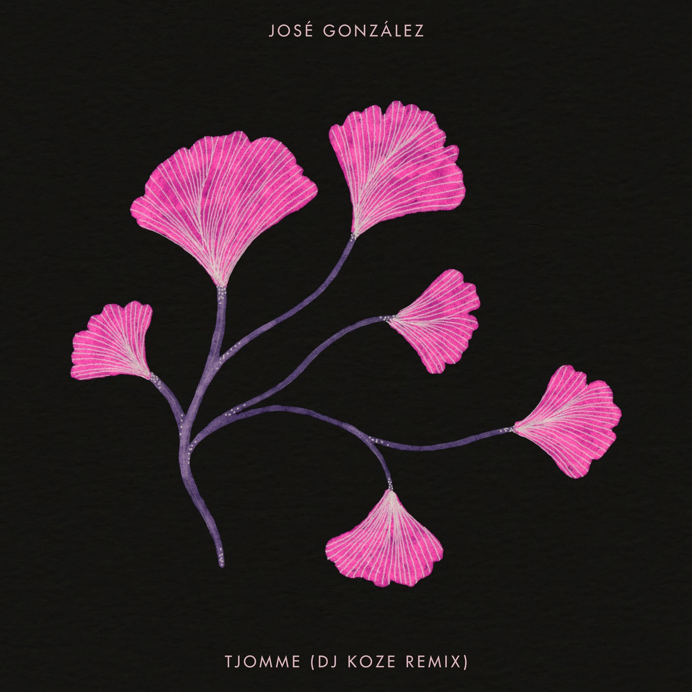 image cover: Jose Gonzalez - Tjomme (DJ Koze Remix) / SLANG50449Z