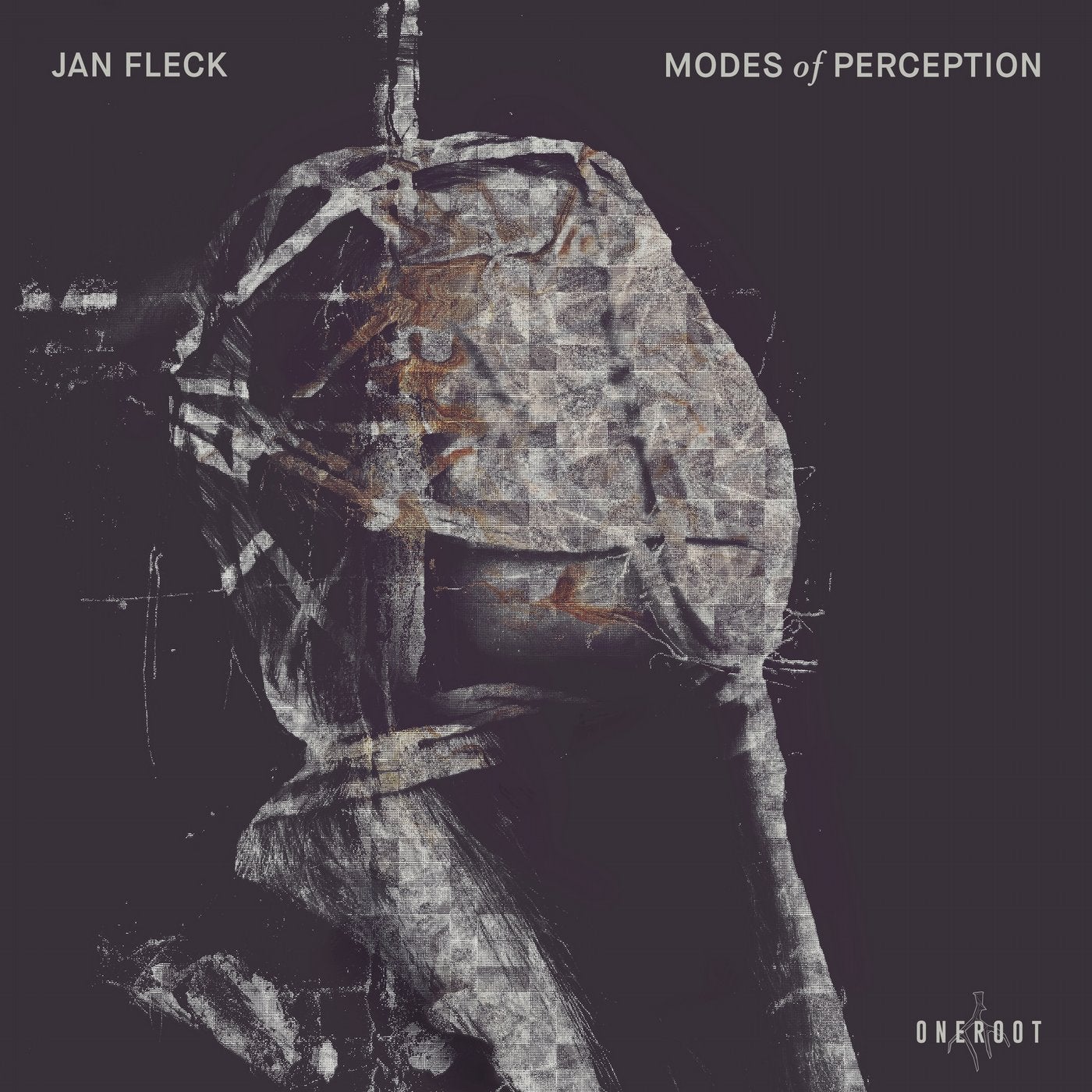 image cover: Jan Fleck - Modes of Perception / 1R01