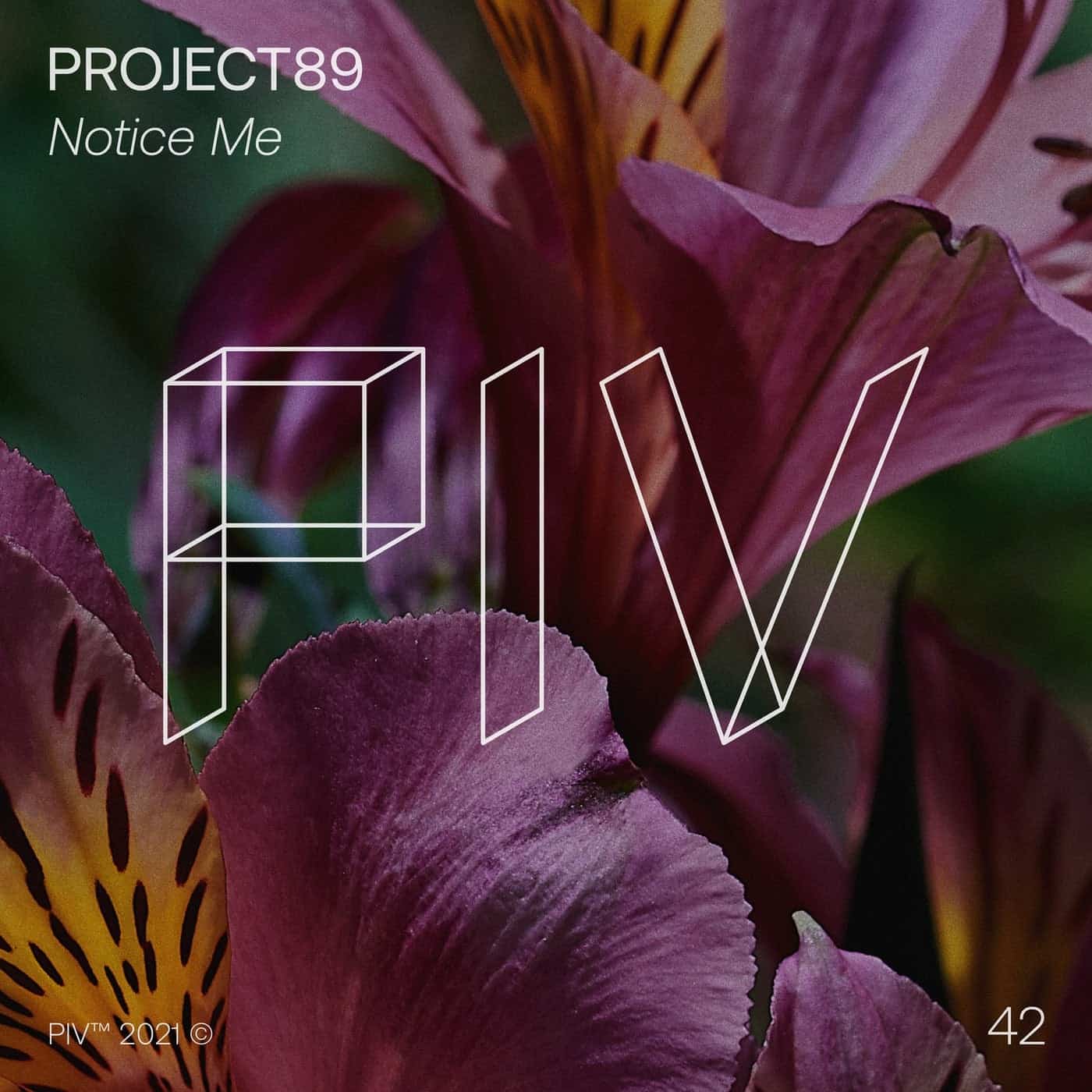 image cover: Project89 - Notice Me / PIV042