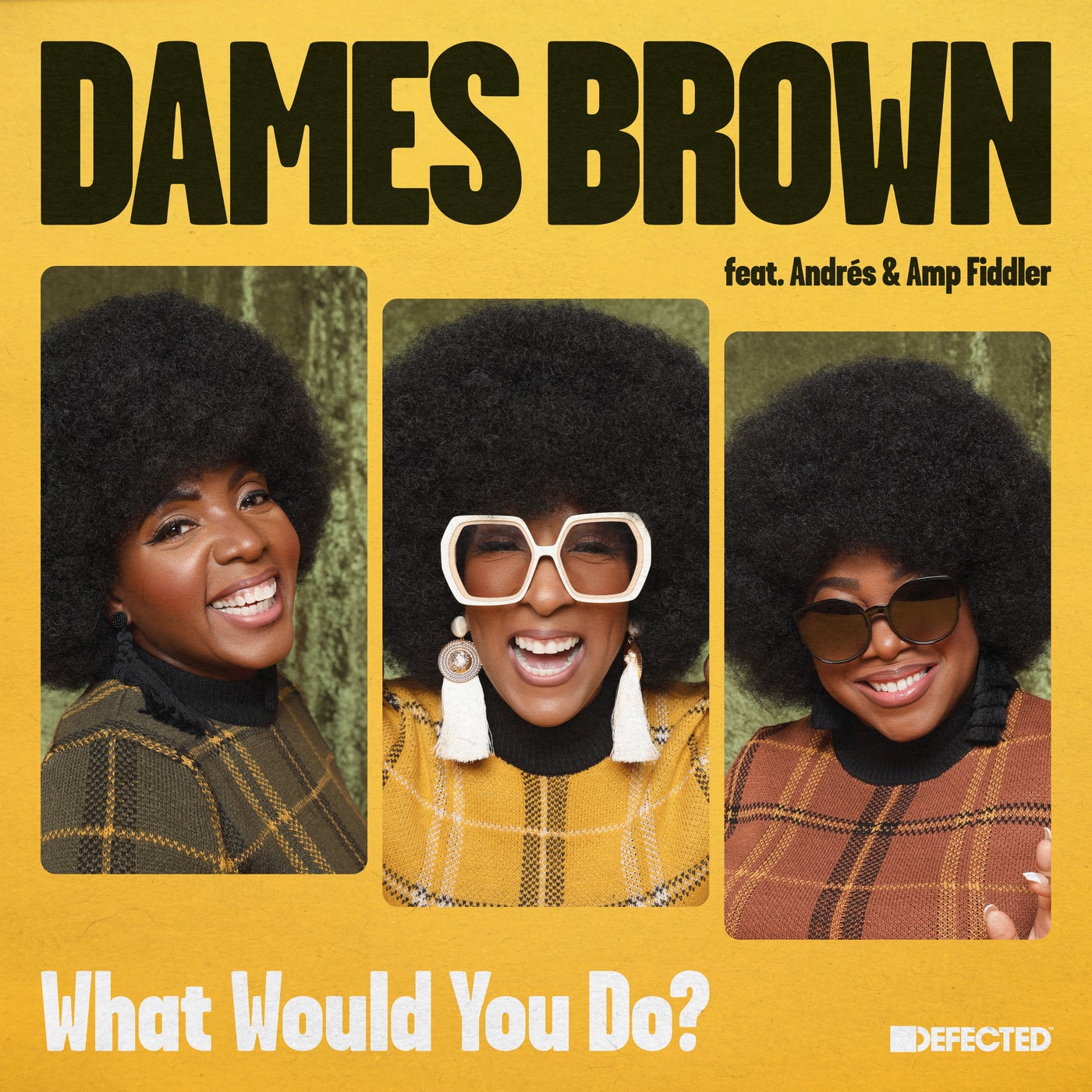 image cover: AMP Fiddler, Andrés, Dames Brown - What Would You Do? - 12" Mix / DFTD635D2