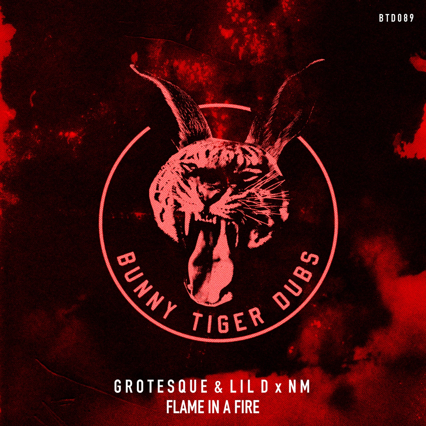 image cover: Grotesque, Lil D x NM - Flame in a Fire / BTD089