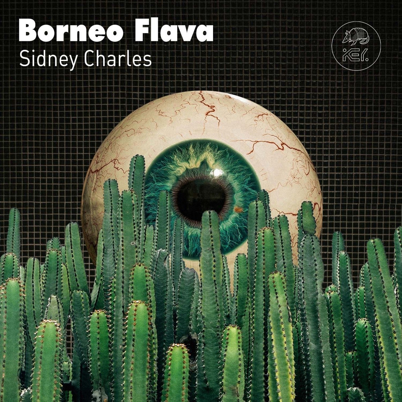 image cover: Sidney Charles - Borneo Flava / KEYRCS013
