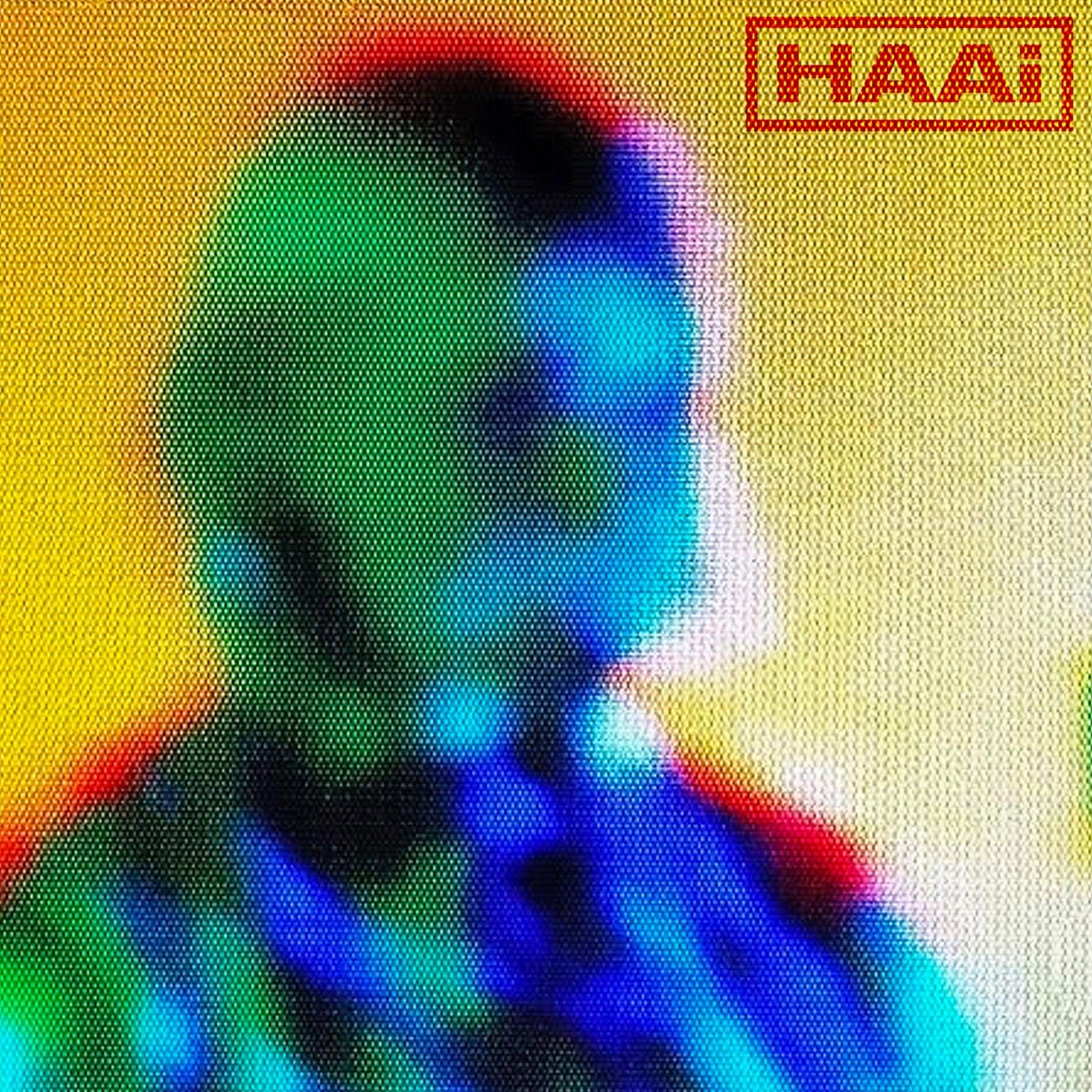 image cover: HAAi - The Sun Made For A Soft Landing / IBMUTE637