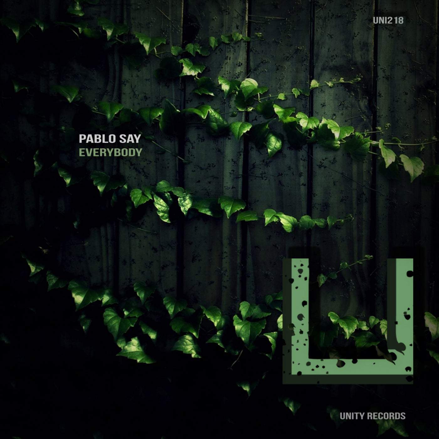 image cover: Pablo Say - Everybody / UNI218