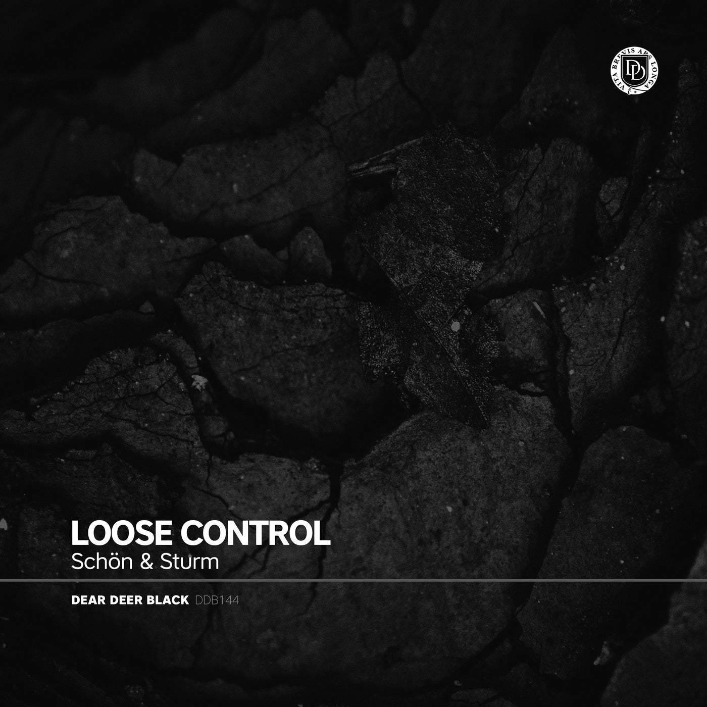 image cover: Schon & Sturm - Loose Control / DDB144