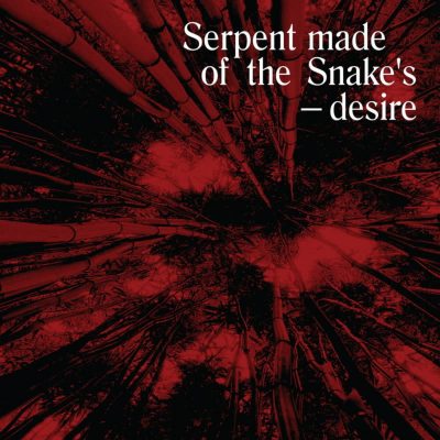 12 2021 346 091315099 VA - Serpent Made of the Snake's Desire: Bedouin Records Selected Discography 2014-2016 / BDNBOXSET001