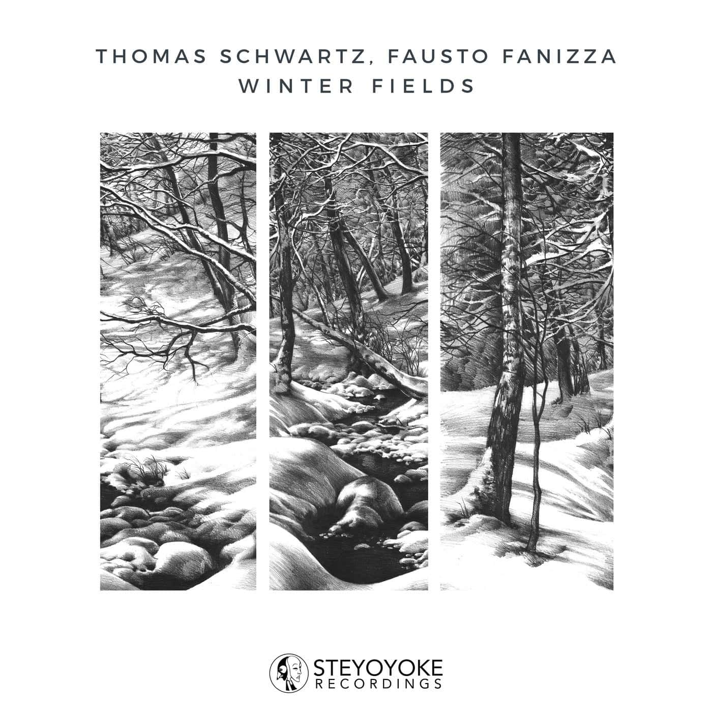 image cover: Thomas Schwartz, Fausto Fanizza, Phoebe Tsen - Winter Fields / SYYK152