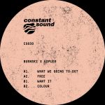 12 2021 346 091333939 Burnski, Kepler - What We Going To Do? / CS030