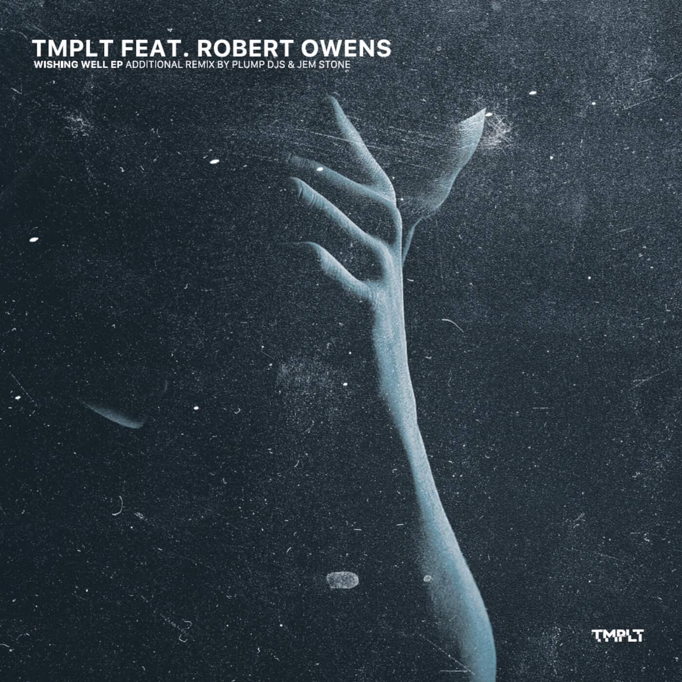 image cover: Robert Owens, TMPLT, Sebastian Sauve - Wishing Well / TMPLT003