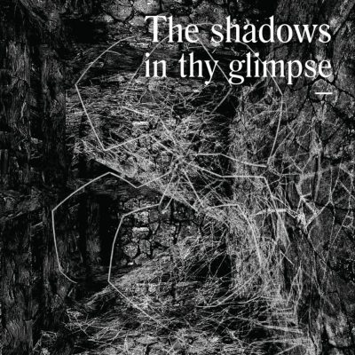 12 2021 346 091447840 VA - The Shadows In Thy Glimpse: Bedouin Records Selected Discography 2016-2018 / BDNBOXSET002