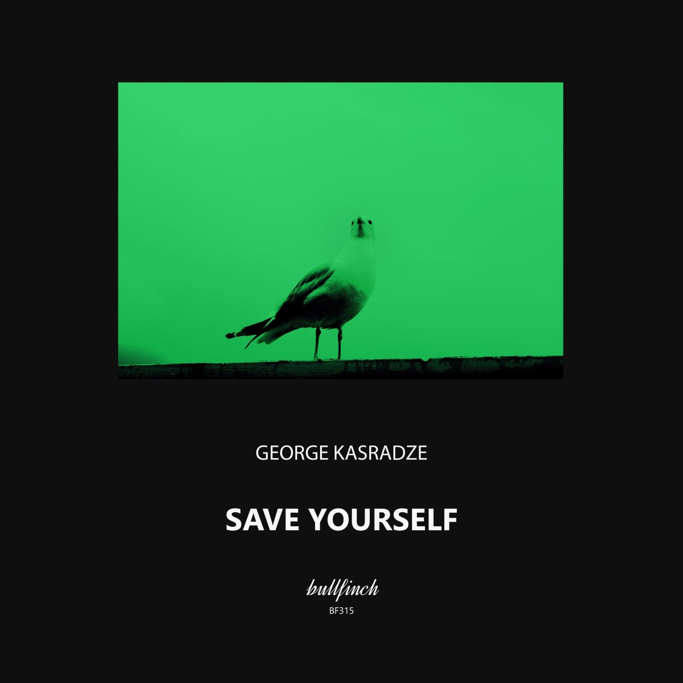 image cover: George Kasradze - Save Yourself / BF315