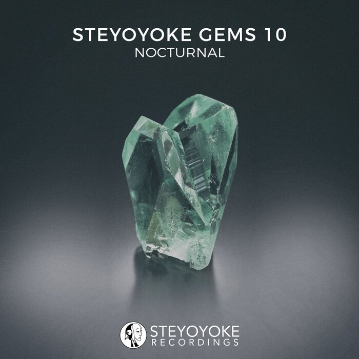 image cover: VA - Steyoyoke Gems Nocturnal 10 / Steyoyoke