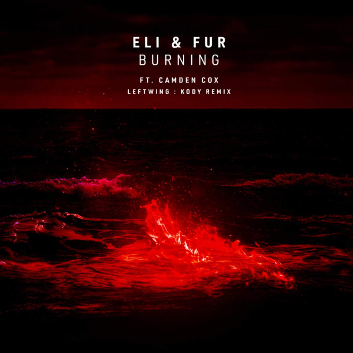 image cover: Camden Cox, Eli & Fur - Burning / 00602445252084