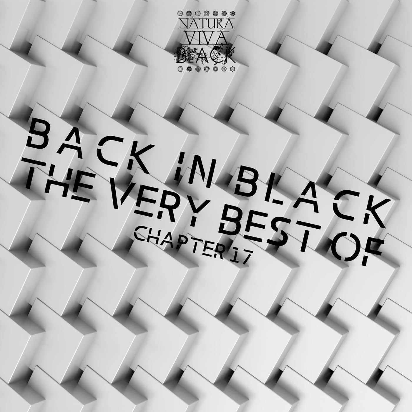 Download Back In Black! (The Very Best Of) Chapter 17 on Electrobuzz