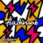 01 2022 346 091174943 VA - In A Flash, Vol. 6 / FMR195