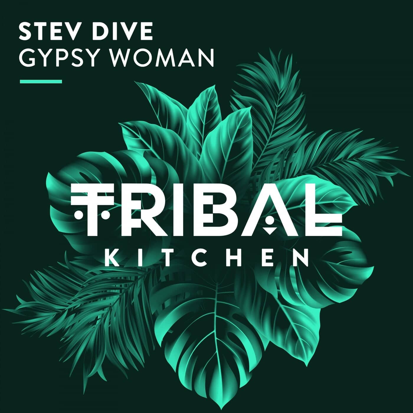 image cover: Stev Dive - Gypsy Woman / TK141