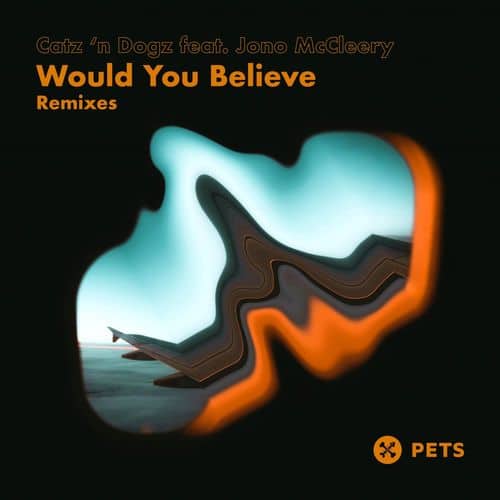image cover: Catz 'n Dogz - Would You Believe Remixes / Pets Recordings