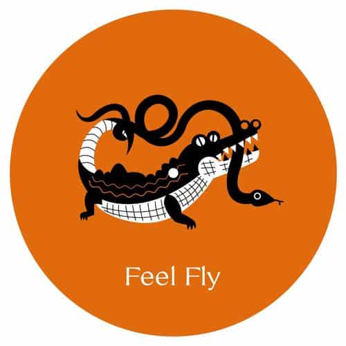 image cover: Feel Fly - Cosmo Cosmo / Internasjonal