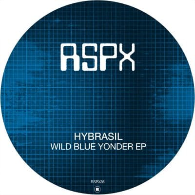 01 2022 346 091298507 Hybrasil - Wild Blue Yonder EP / RSPX36