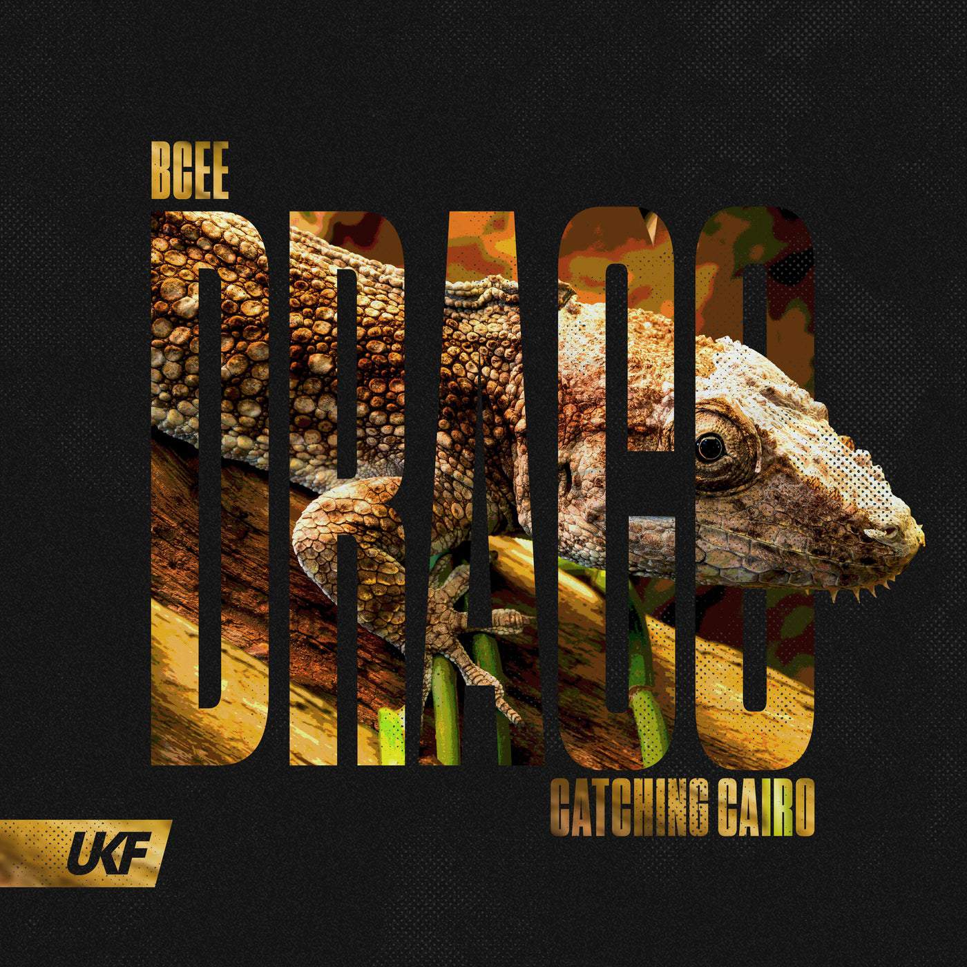 image cover: Bcee, Catching Cairo - Draco / UKF066