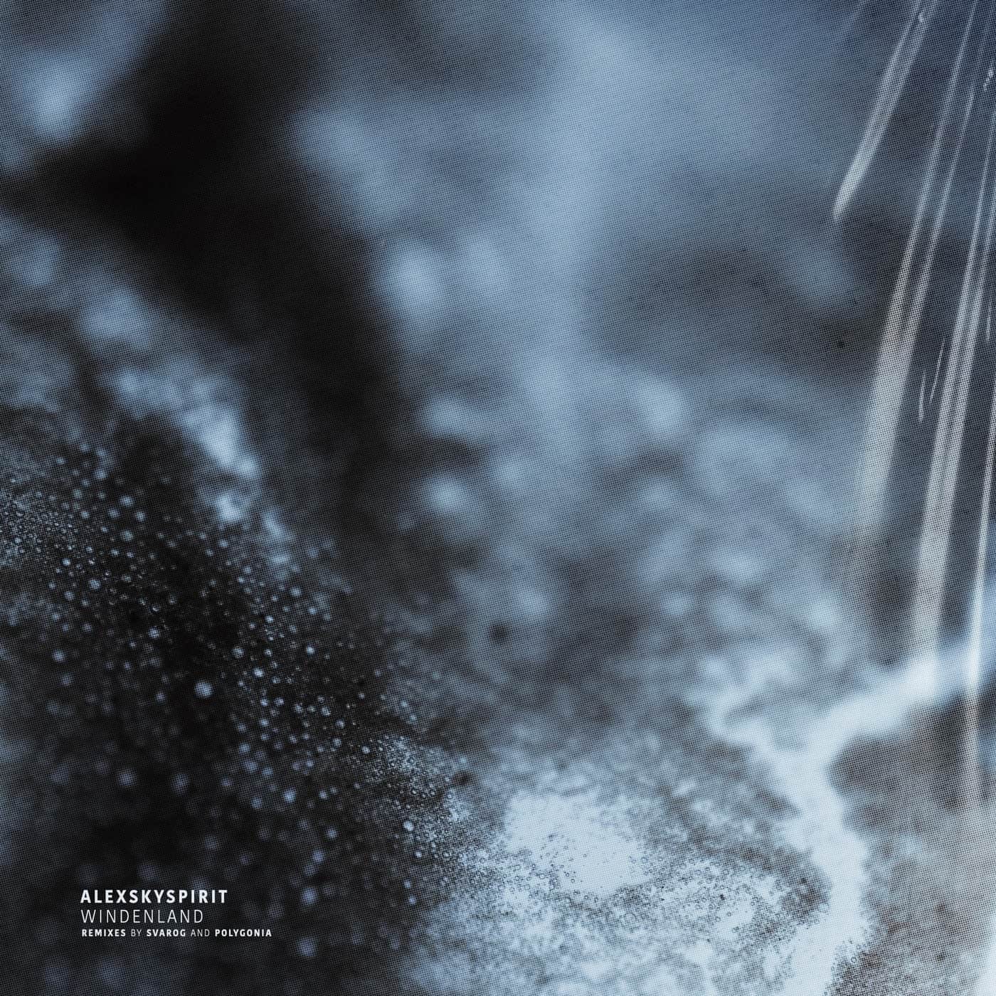 image cover: Alexskyspirit - Windenland (+Polygonia, Svarog Remix) / AARD025