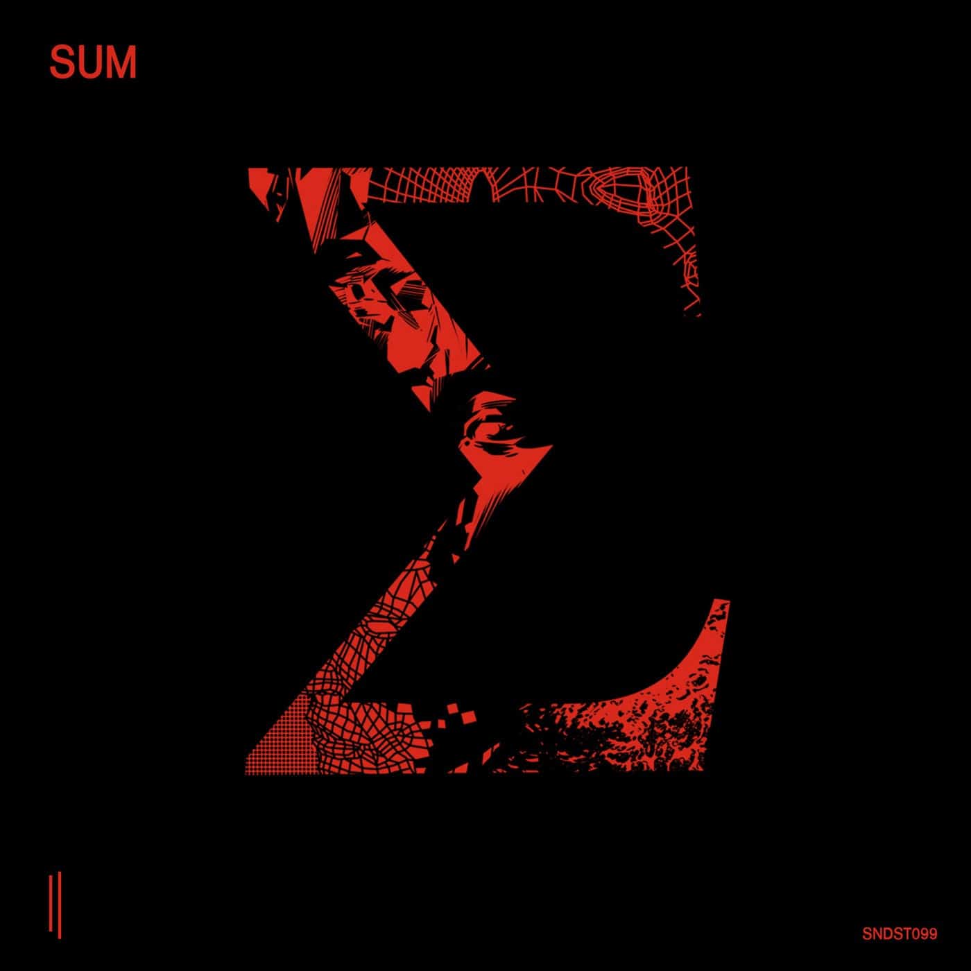 image cover: SUM 11 / SNDST099