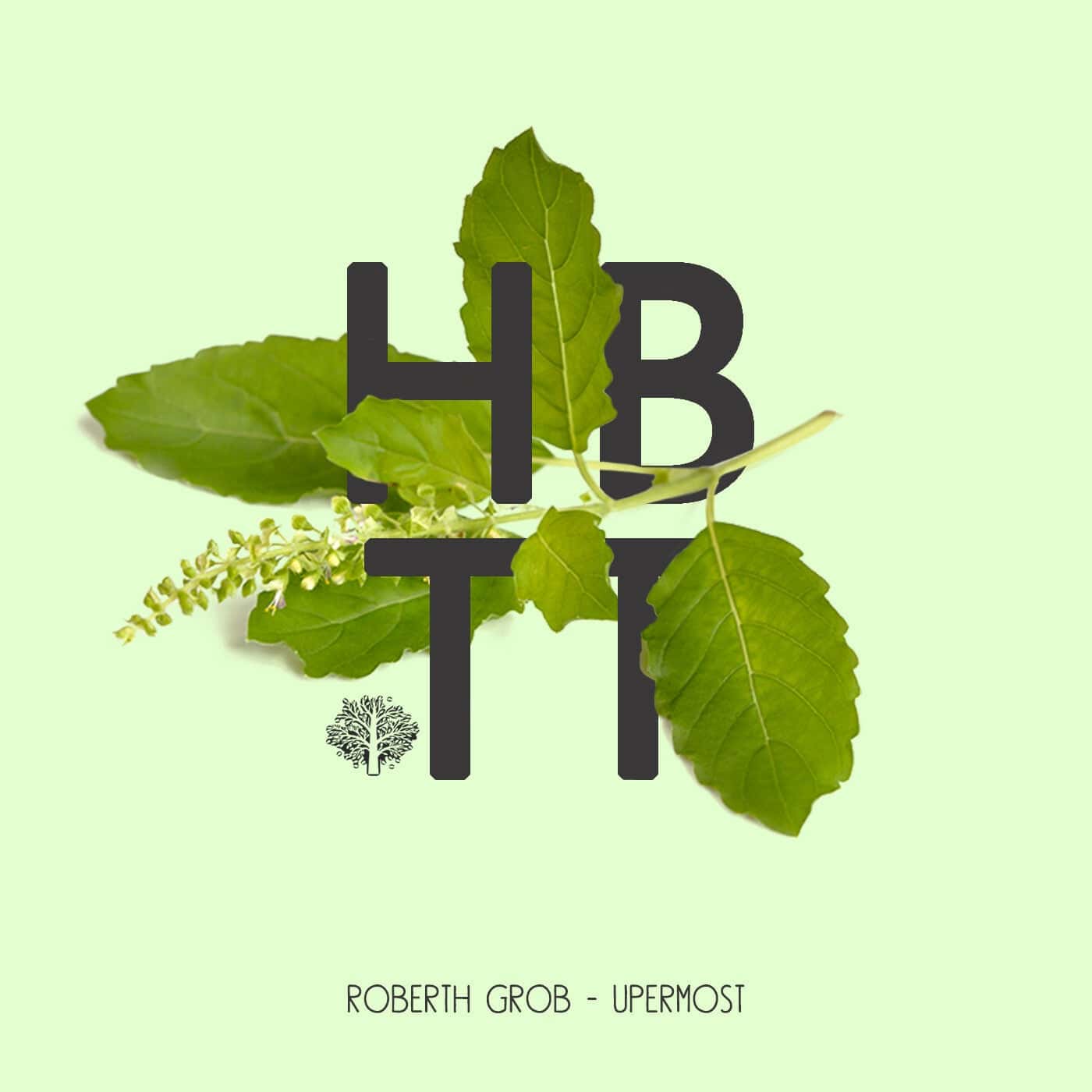 image cover: Roberth Grob - Upermost / HBT375