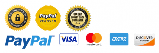 footer secure payment icons Premium