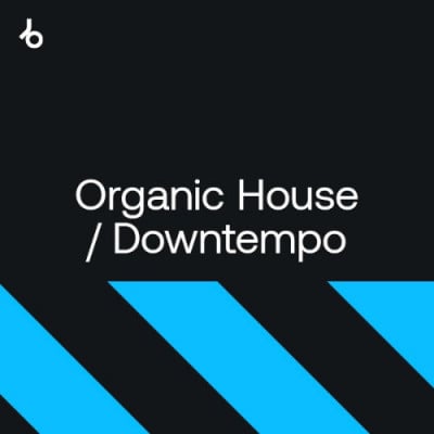 image cover: Best of Hype 2022 Organic House / Downtempo