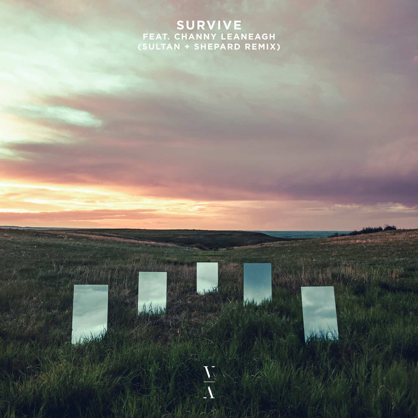 image cover: Lane 8, Channy Leaneagh - Survive (Sultan + Shepard Remix) / TNHLP007S5E