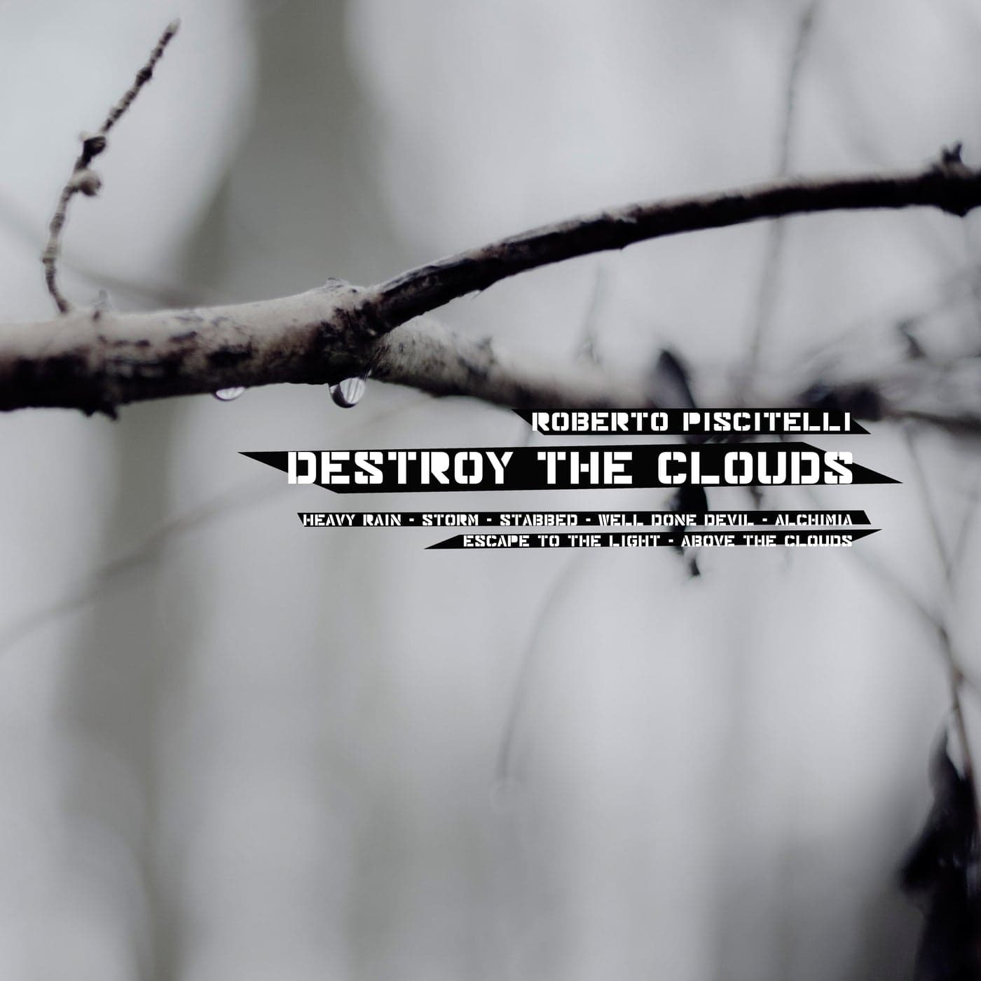 image cover: Roberto Piscitelli - Destroy The Clouds / DM019