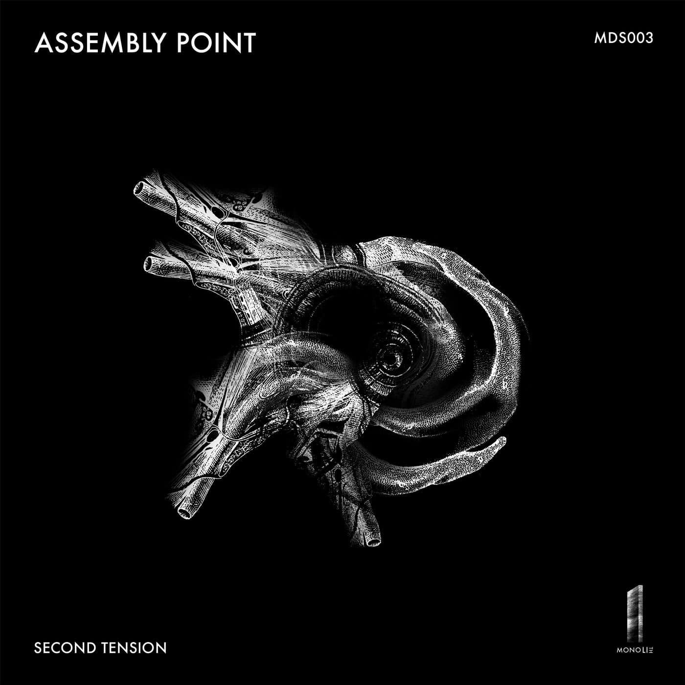 image cover: Second Tension - Assembly Point / MDS003