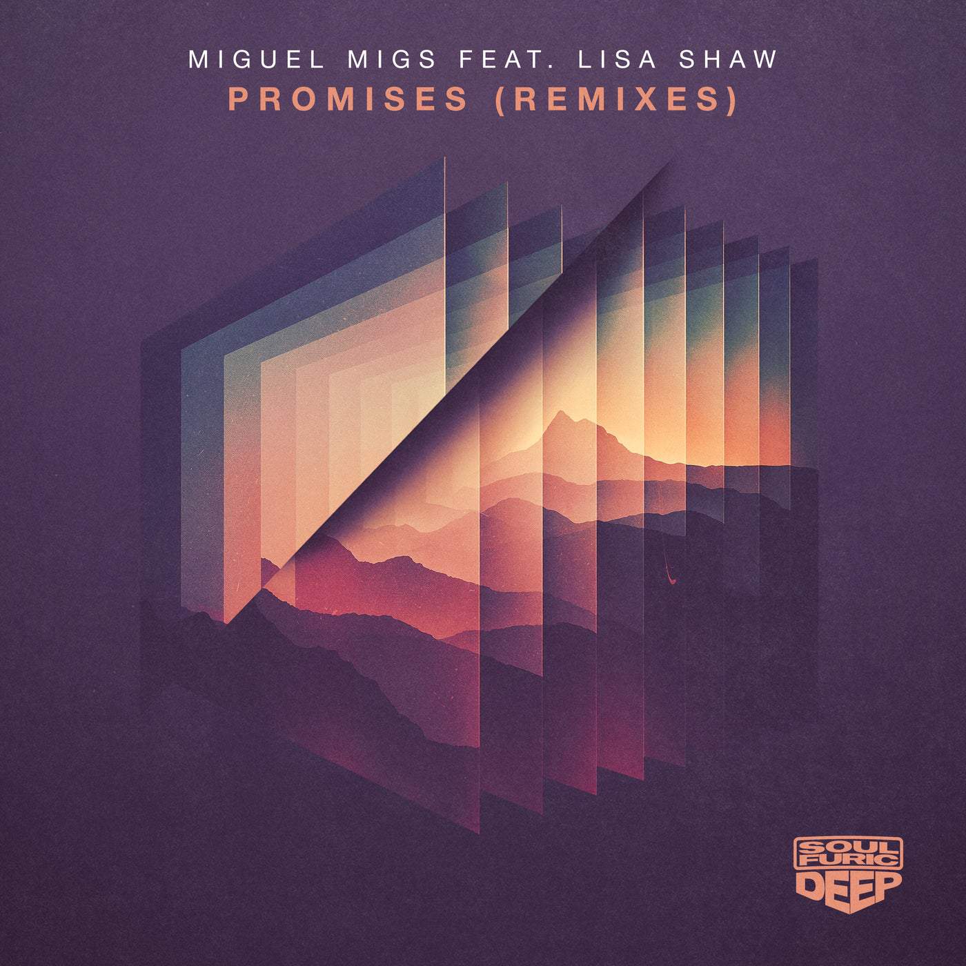 image cover: Miguel Migs, Lisa Shaw - Promises - Remixes / SFDD067D2