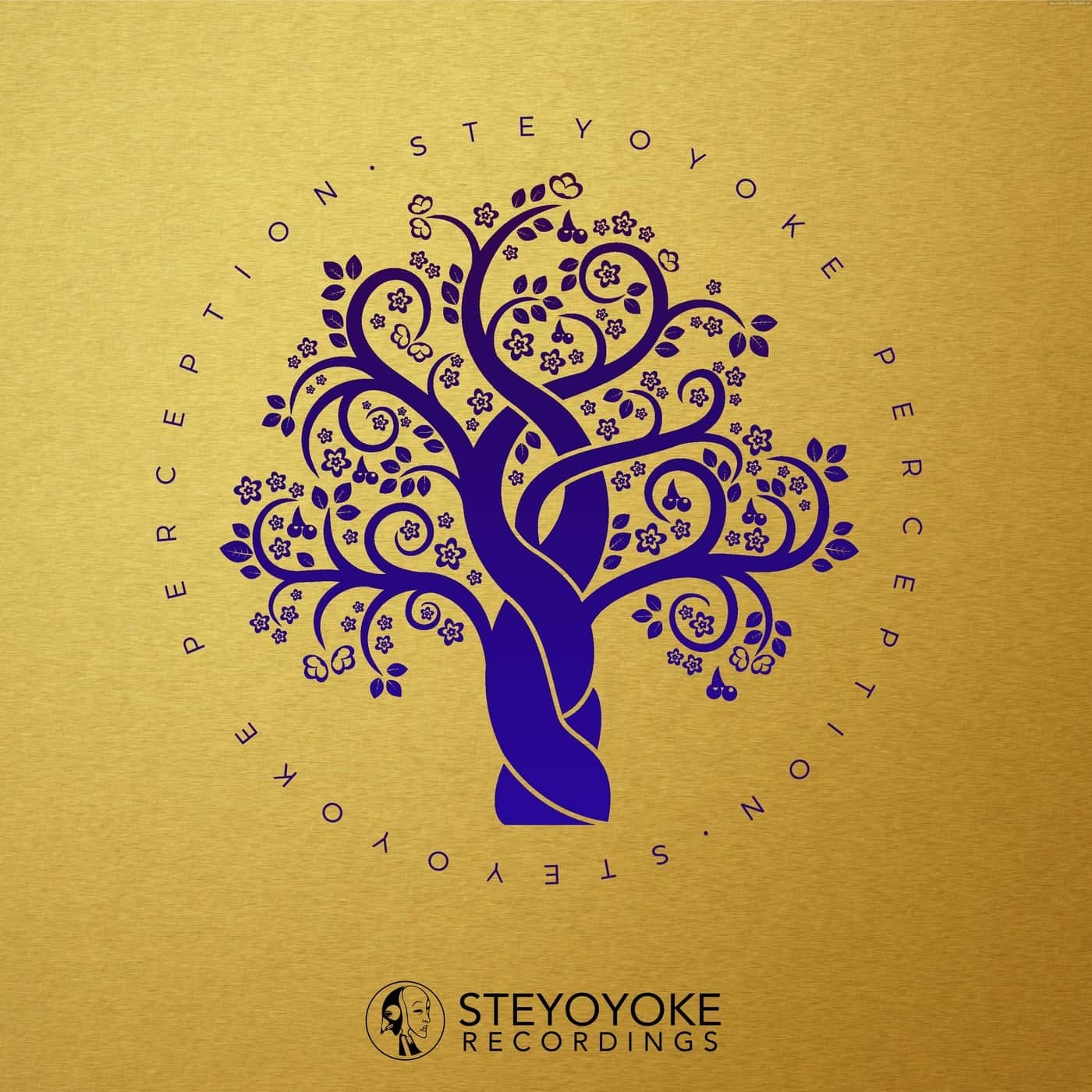 image cover: VA - Steyoyoke Perception, Vol. 09 / SYYKPERC009