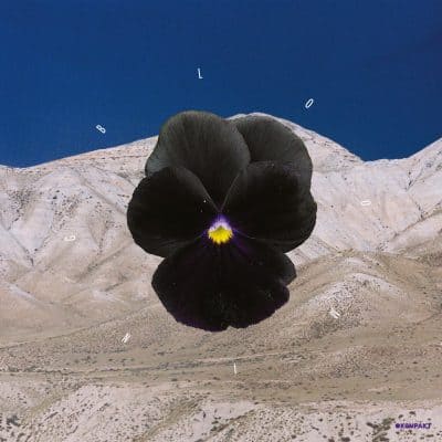 02 2022 346 091449762 Archil & Leon - Blooming / Kompakt