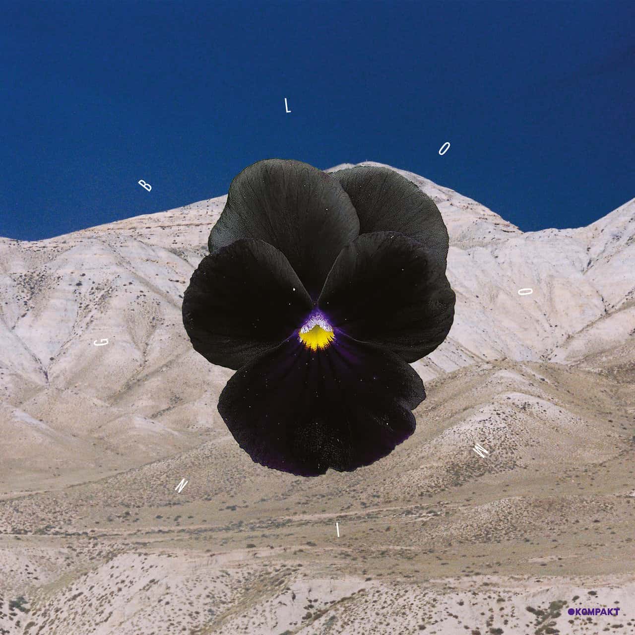 image cover: Archil & Leon - Blooming / Kompakt