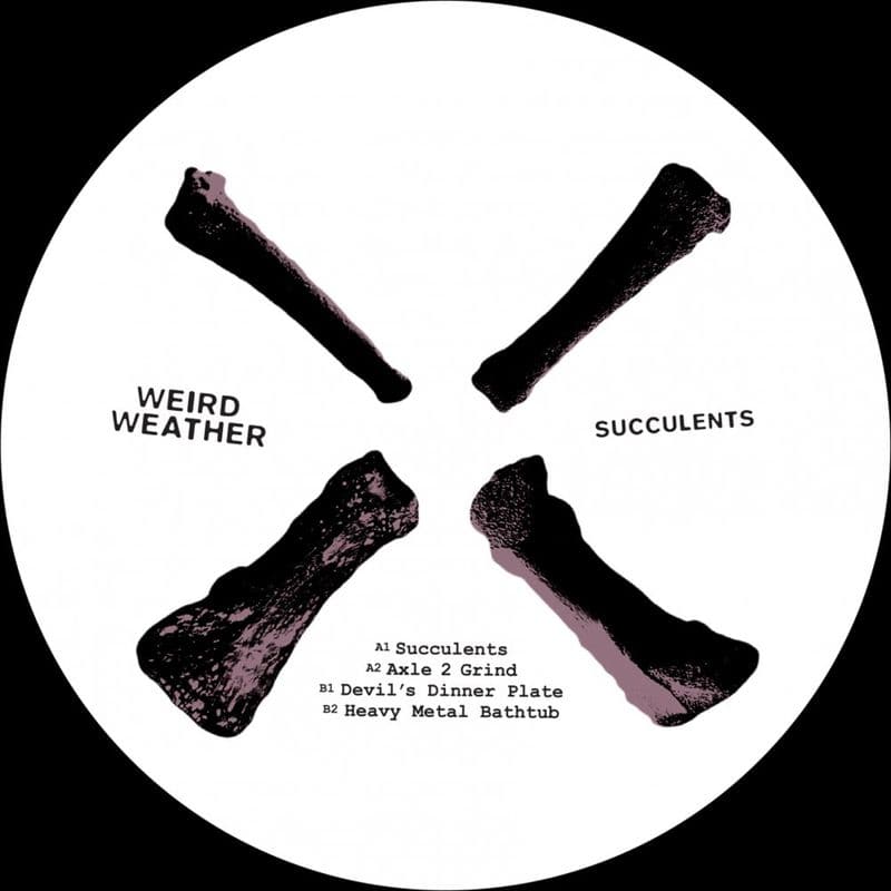 image cover: Weird Weather - Succulents EP